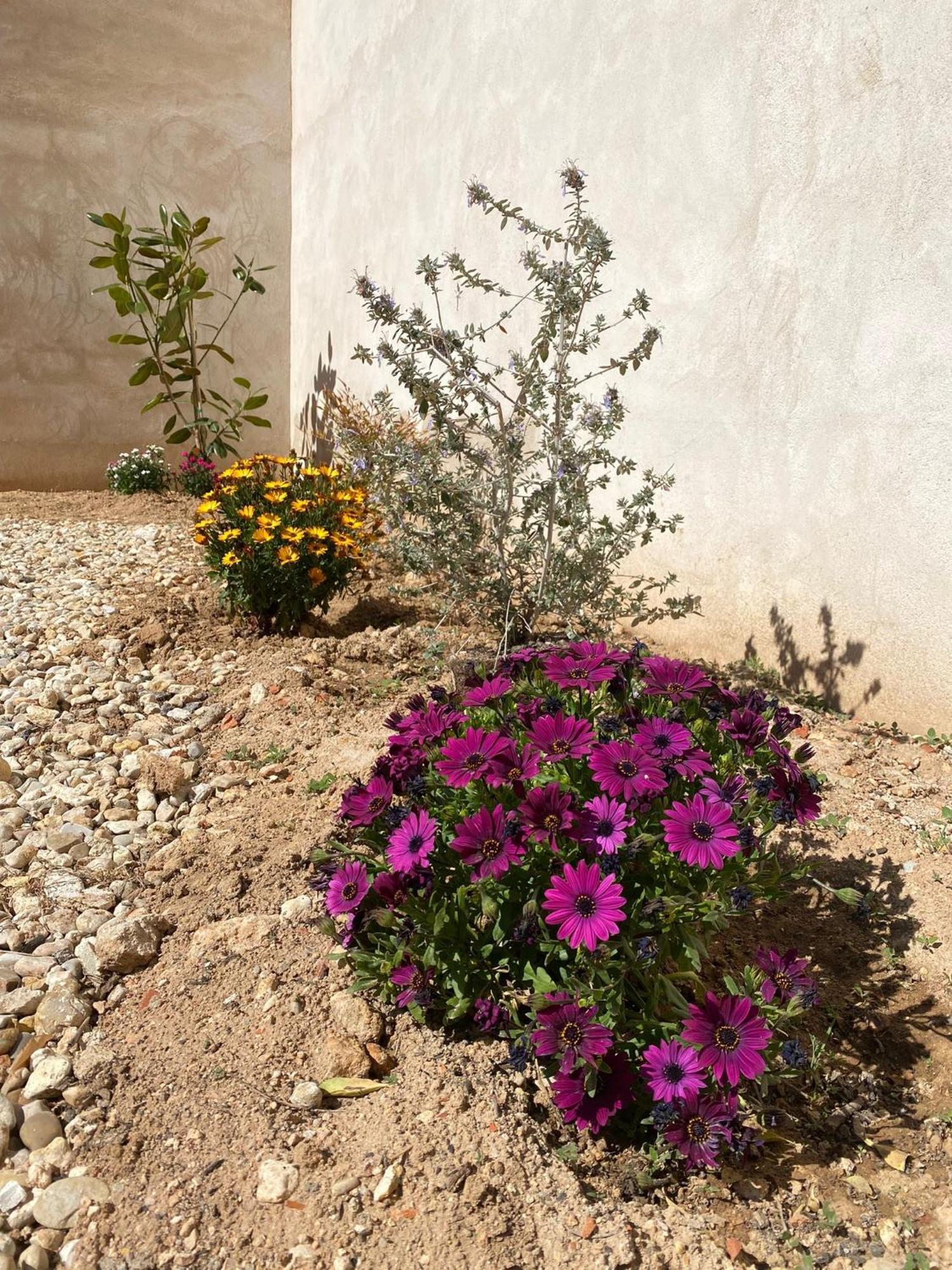 Pedro Muñoz La Mancha Suites Casa Rural المظهر الخارجي الصورة